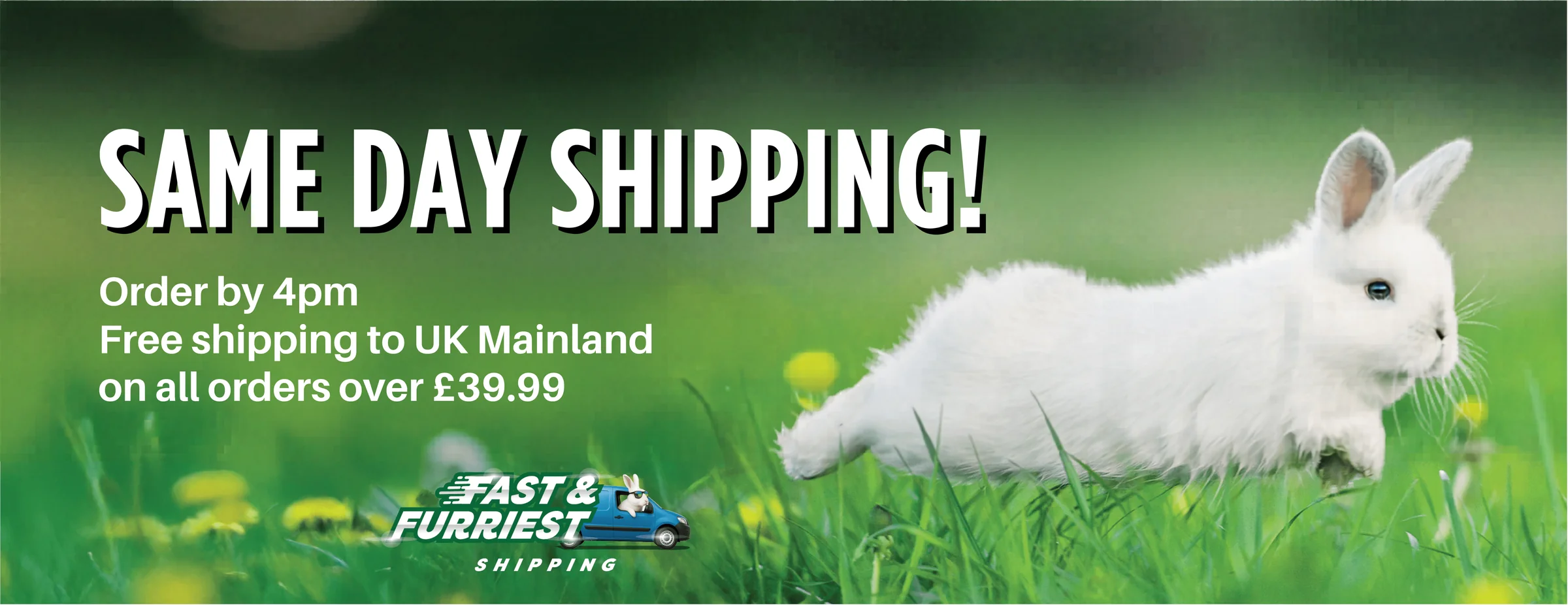 Freshness Your Small Pet Deserves