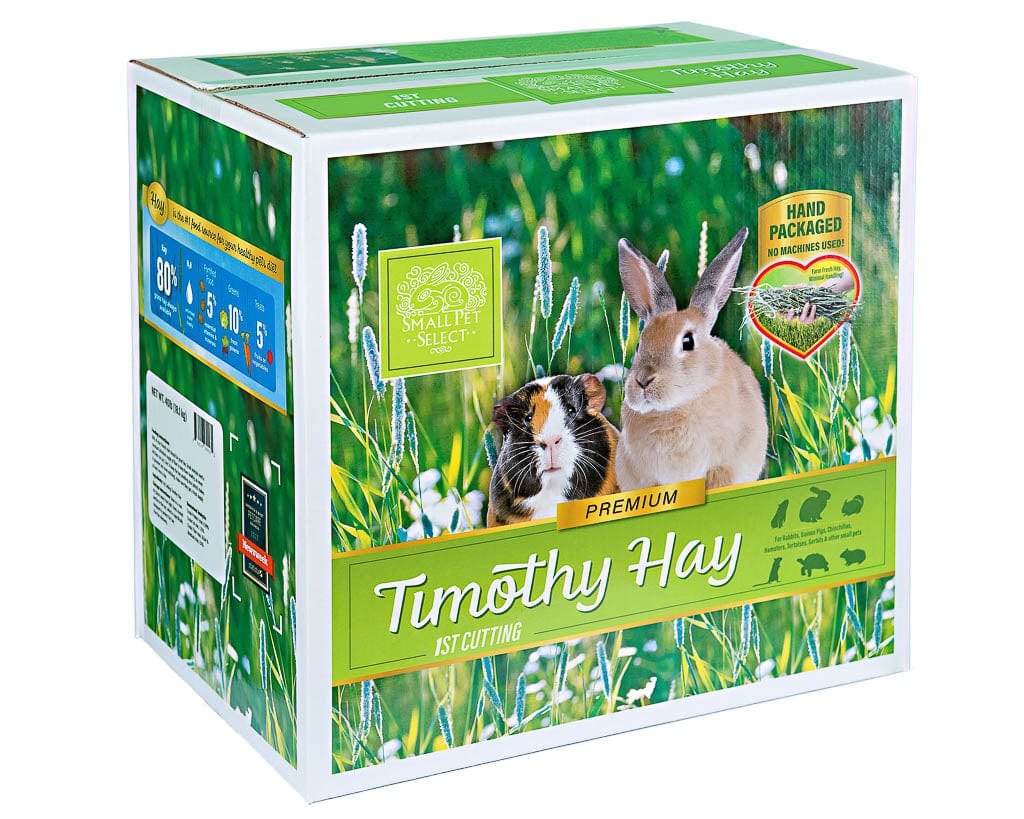 1st Cutting Timothy Hay - Image 3