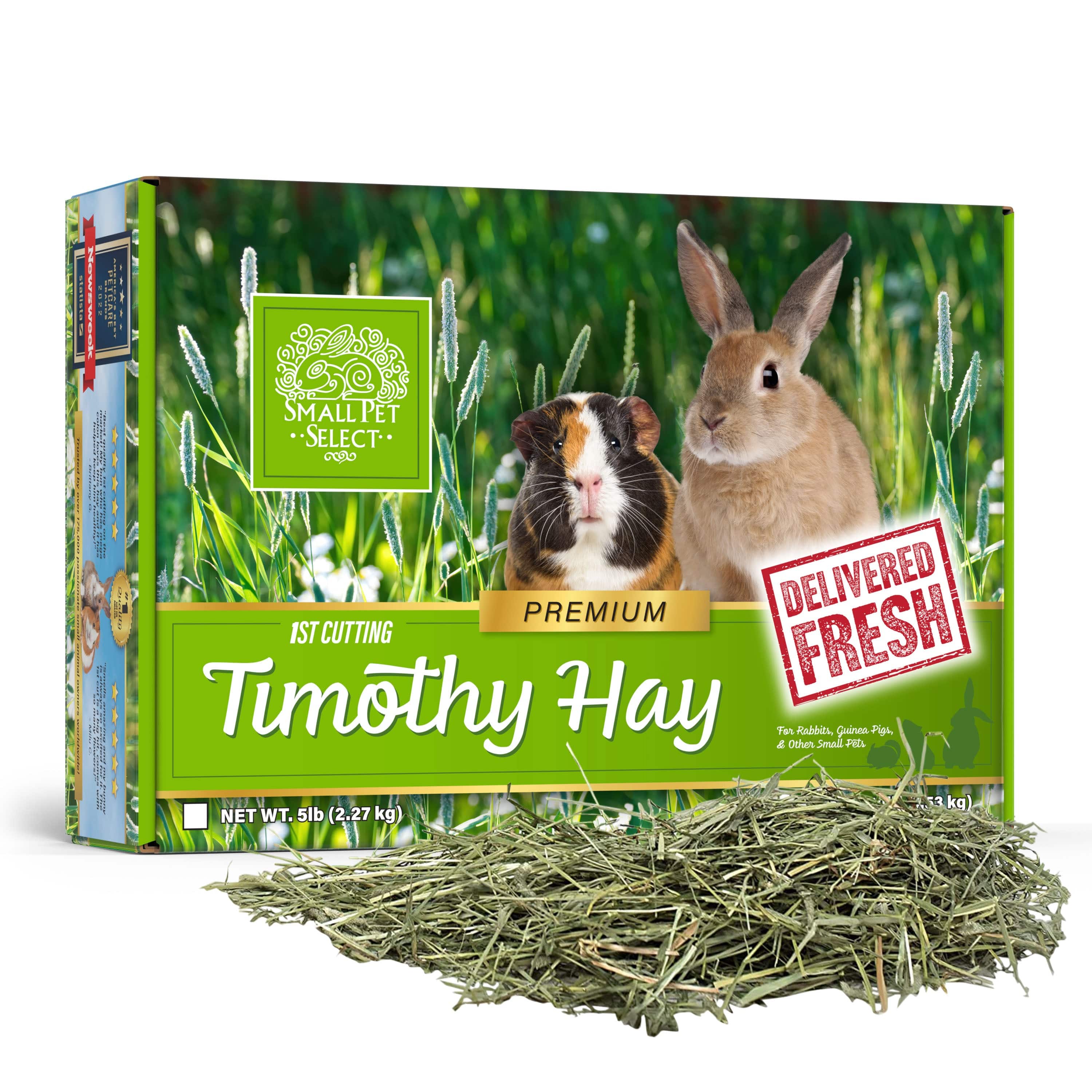 1st Cutting Timothy Hay - Image 4