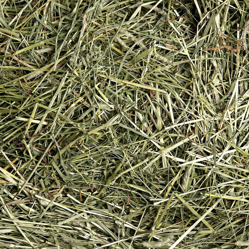 1st Cutting Timothy Hay - Image 7