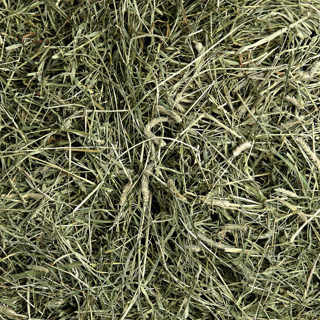 2nd Cutting Timothy Hay - Image 4