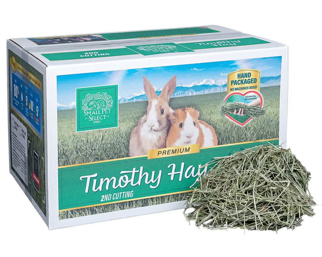 2nd Cutting Timothy Hay - Image 6