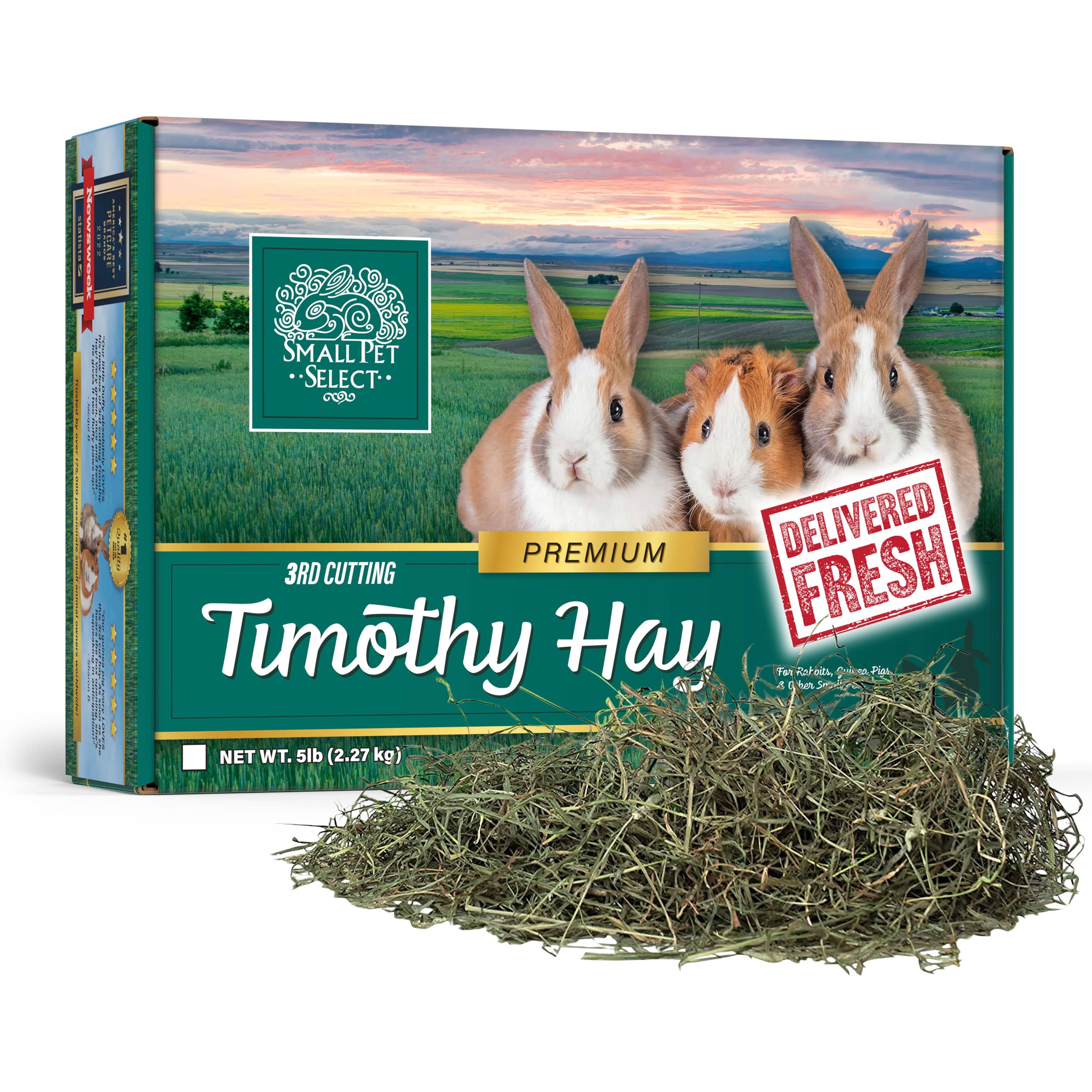 3rd Cutting Timothy Hay - Image 3
