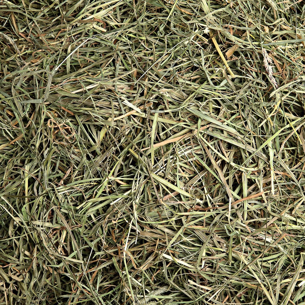 3rd Cutting Timothy Hay - Image 6