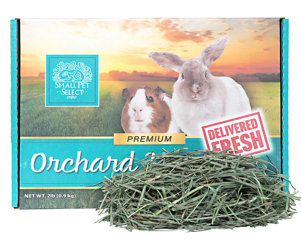 Adopter's Gift - FREE 2lb Box of Hay! - Image 4