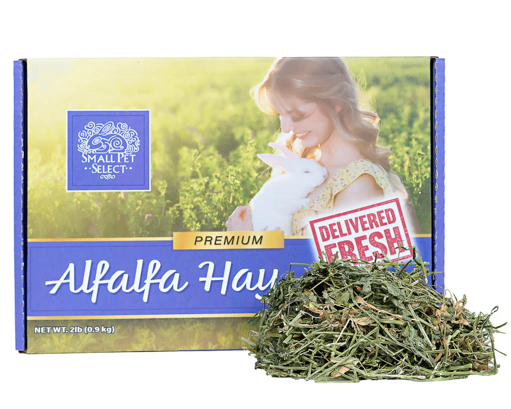 Adopter's Gift - FREE 2lb Box of Hay! - Image 5