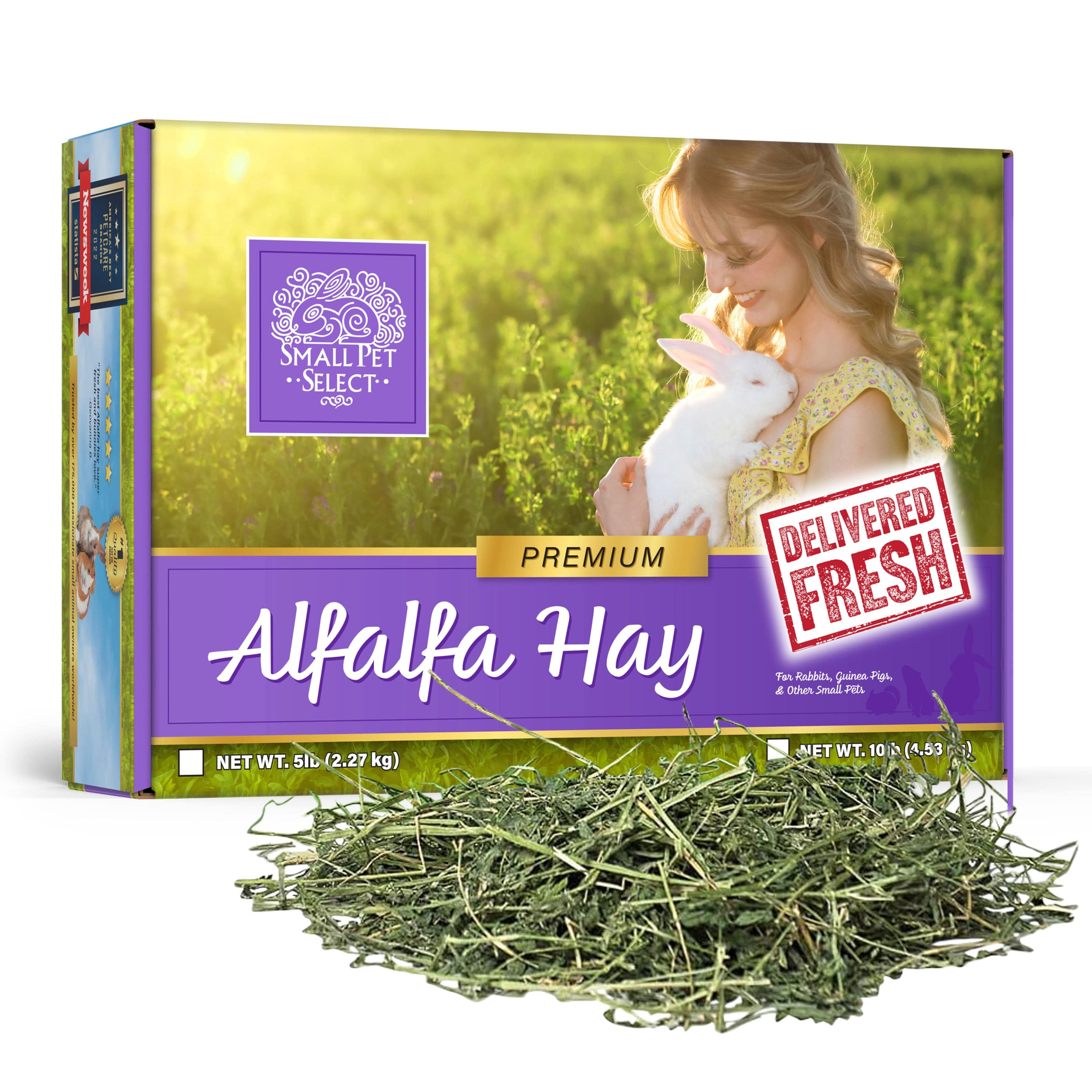 Alfalfa Hay - Image 4