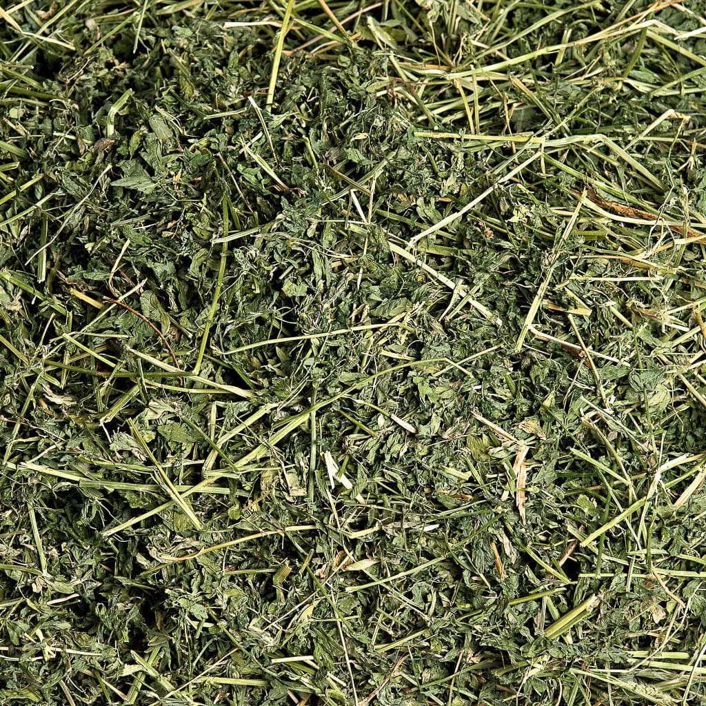 Alfalfa Hay - Image 5
