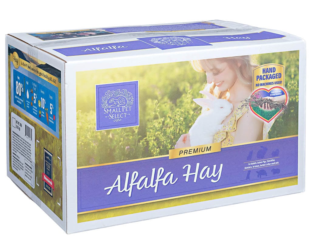 Alfalfa Hay - Image 7