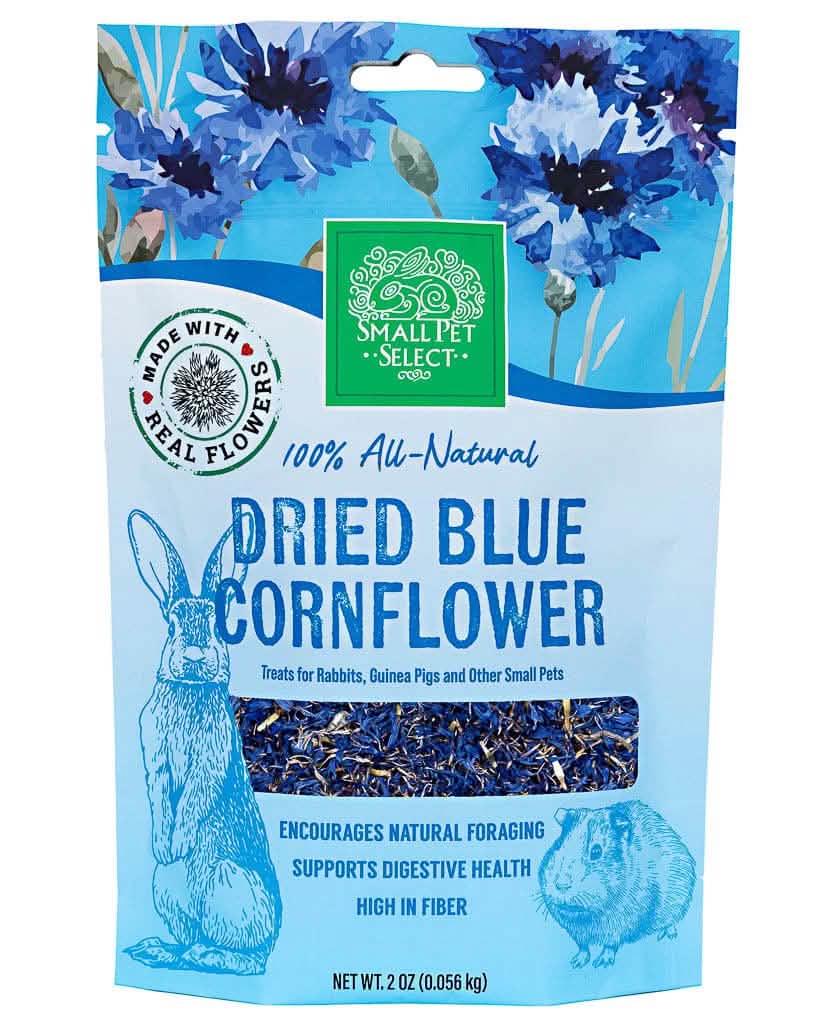 Blue Cornflower Foraging Herbs - Image 3