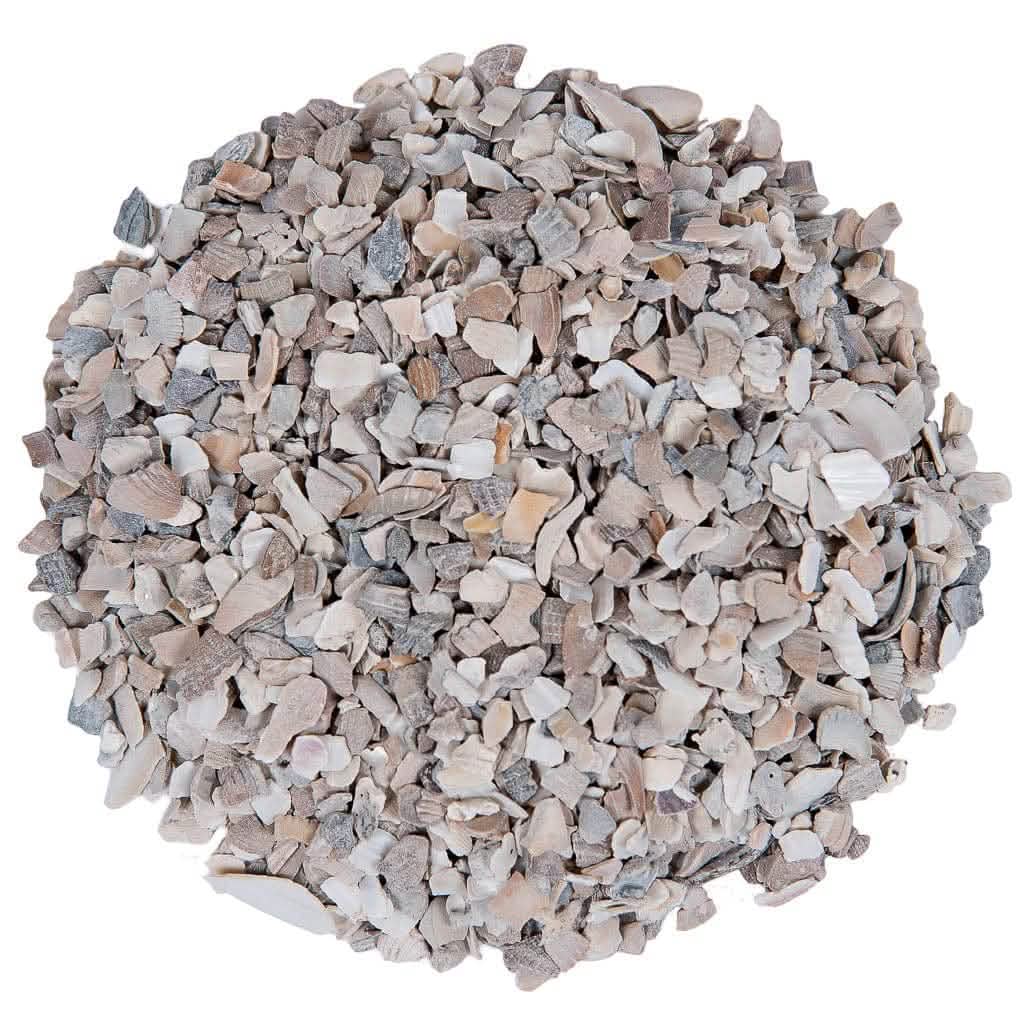 Flaked Chicken Oyster Shell - Image 5