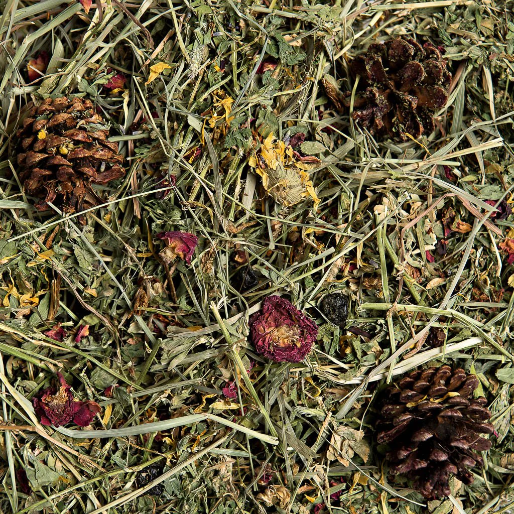 Gourmet Hay: Premium Herbal Hay Blend - Image 3