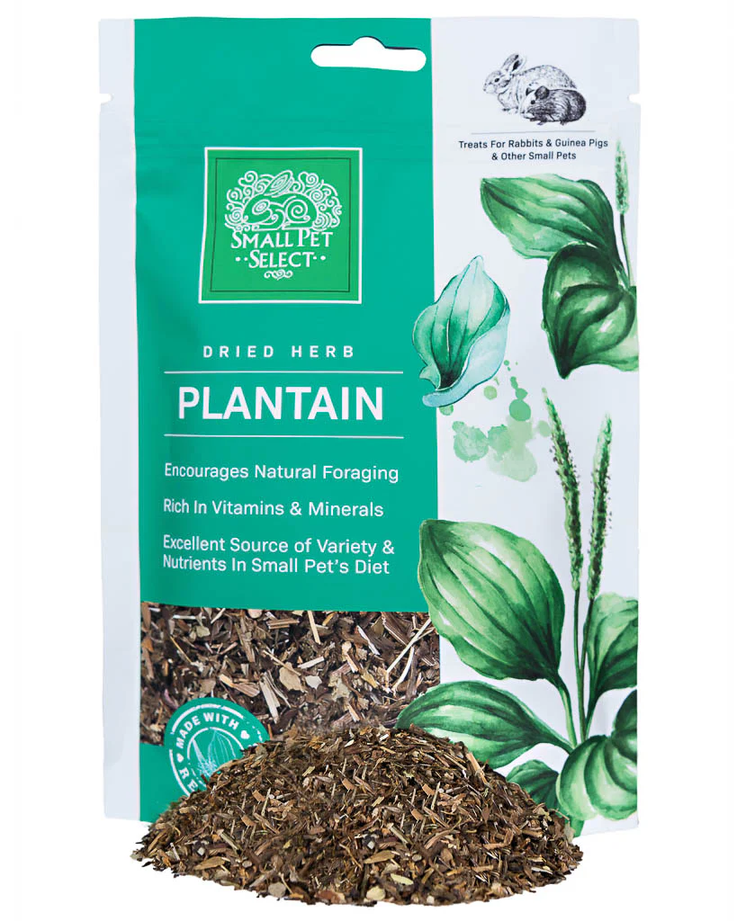 Herb Discovery Set - 5 Pack - Image 5