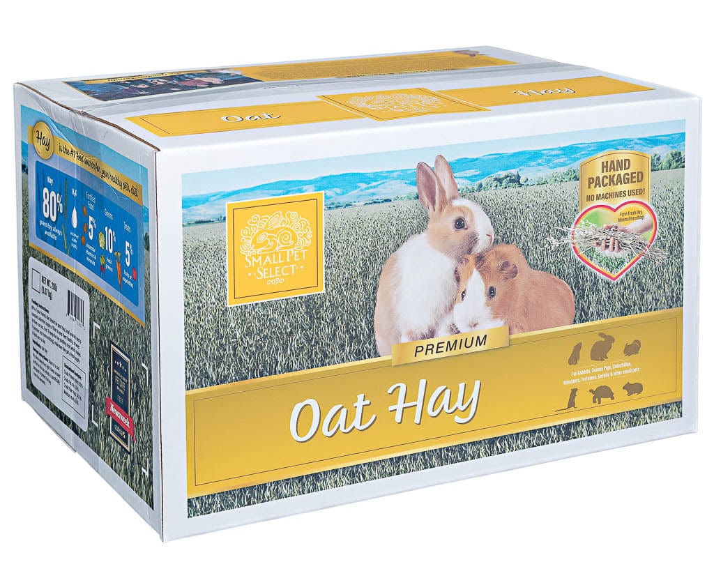 Oat Hay - Image 3