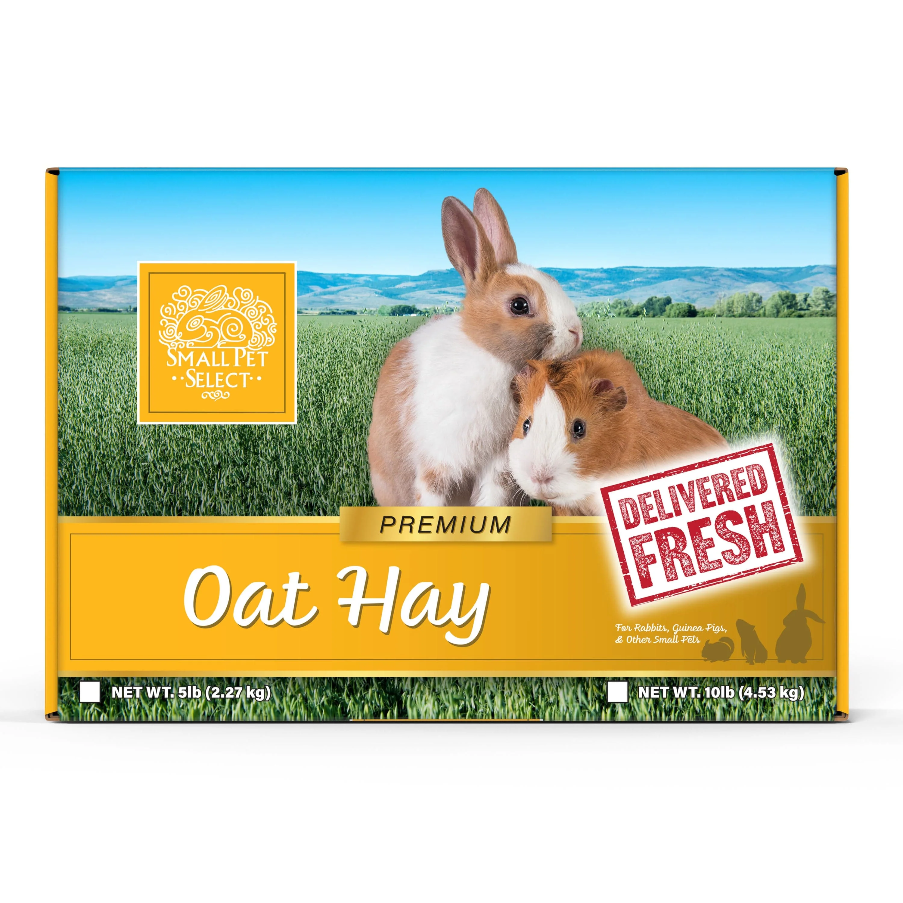 Oat Hay - Image 4