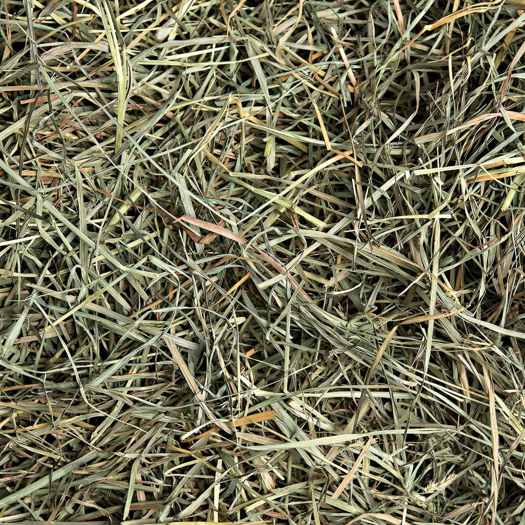 Orchard Hay - Image 4