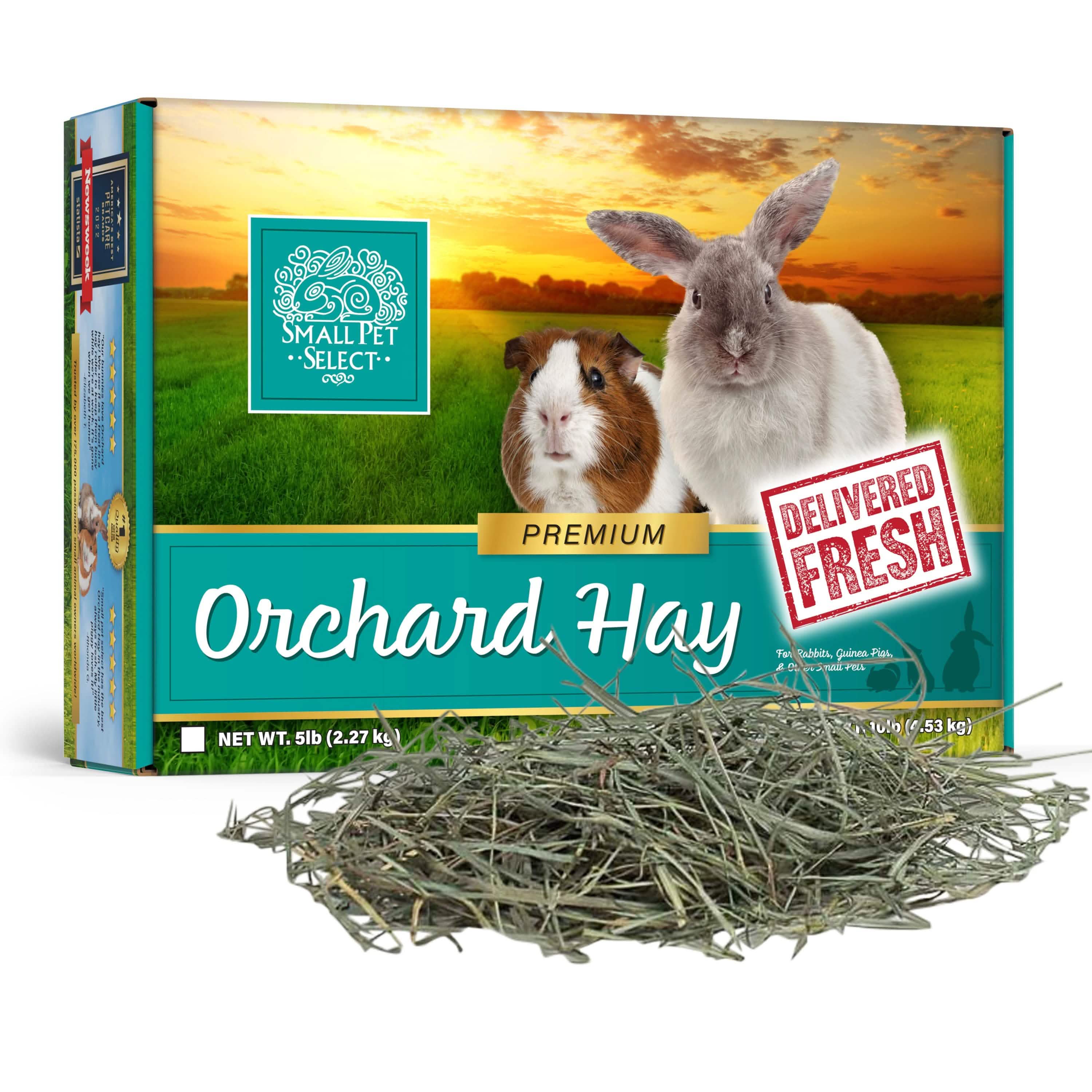 Small Pet Select Rescue & Ambassador Donation Box - Image 4