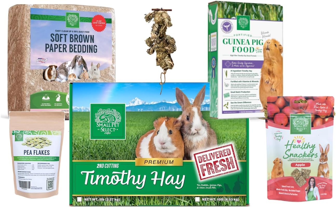 The Piggy Starter Pack - Complete Guinea Pig Essentials