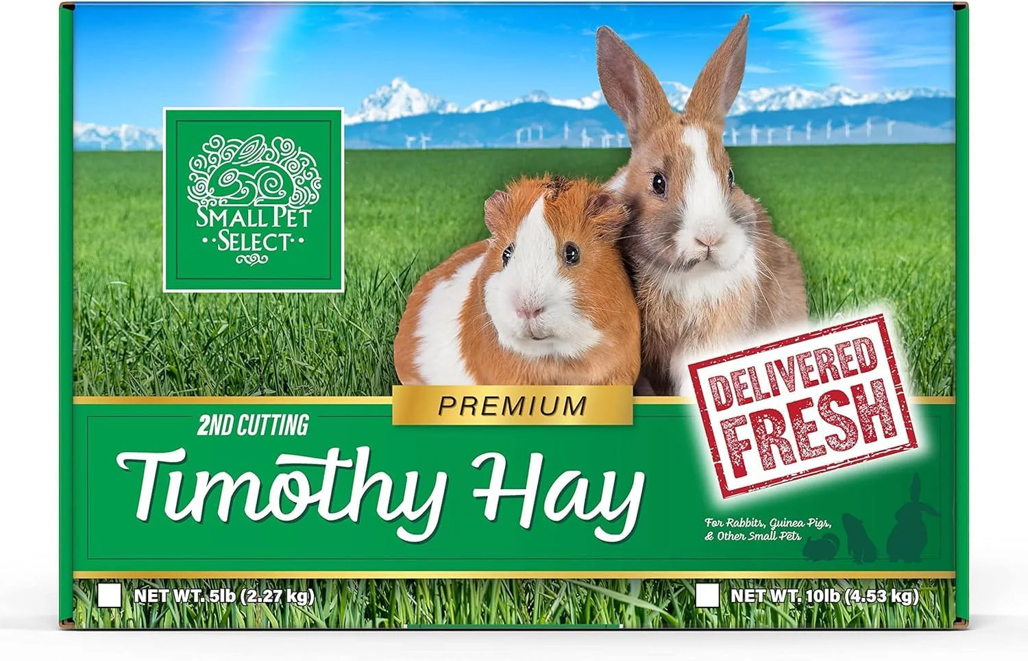 The Piggy Starter Pack - Complete Guinea Pig Essentials - Image 2