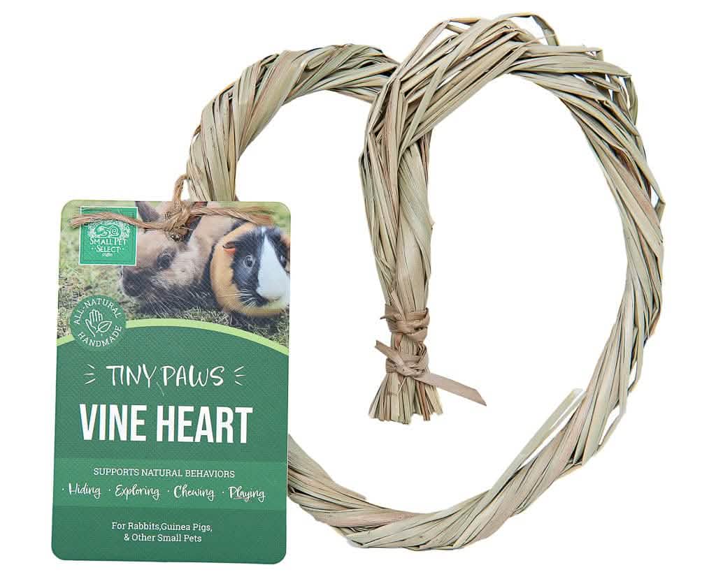 Natural Toys and Chews for Cats